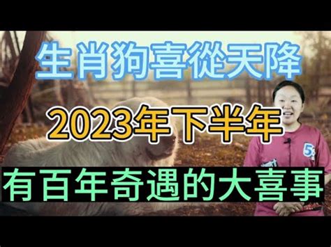 屬狗樓層|【82年屬狗風水樓層】82年屬狗買房子方位注意規避一些不吉方。